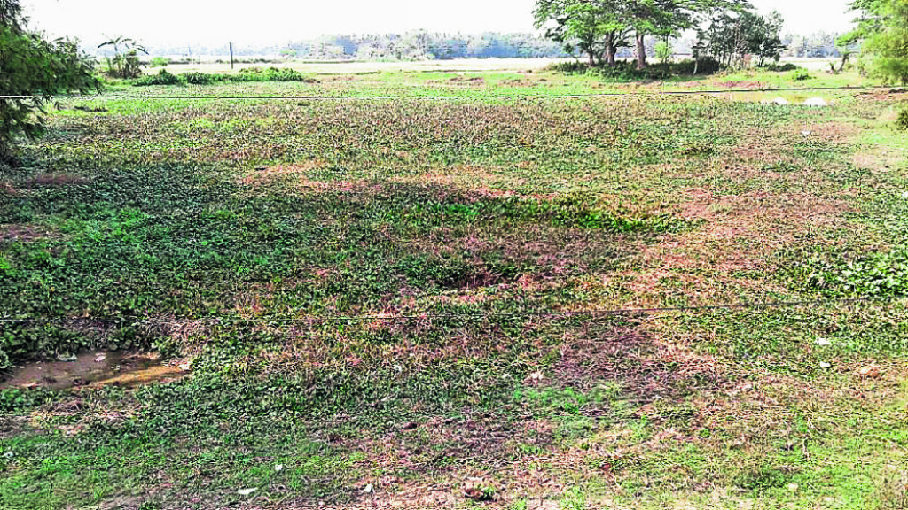 ଶୁଖିଲାଣି ଜଳାଶୟ, ଉତ୍କଟ ଜଳ ସଙ୍କଟ