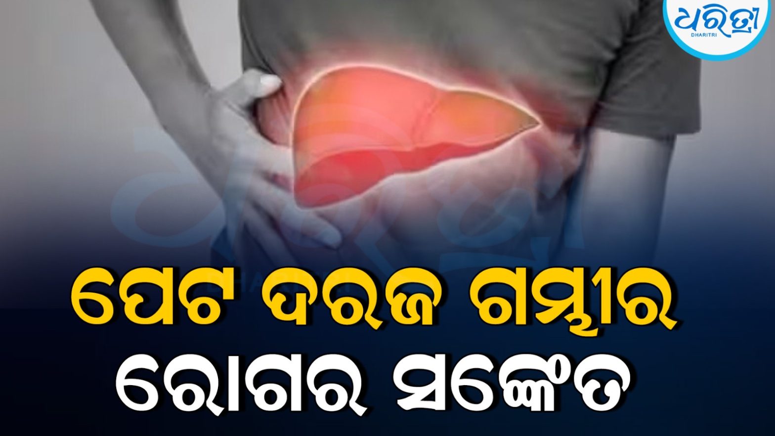 ଭିନ୍ନତାରେ ସମତା