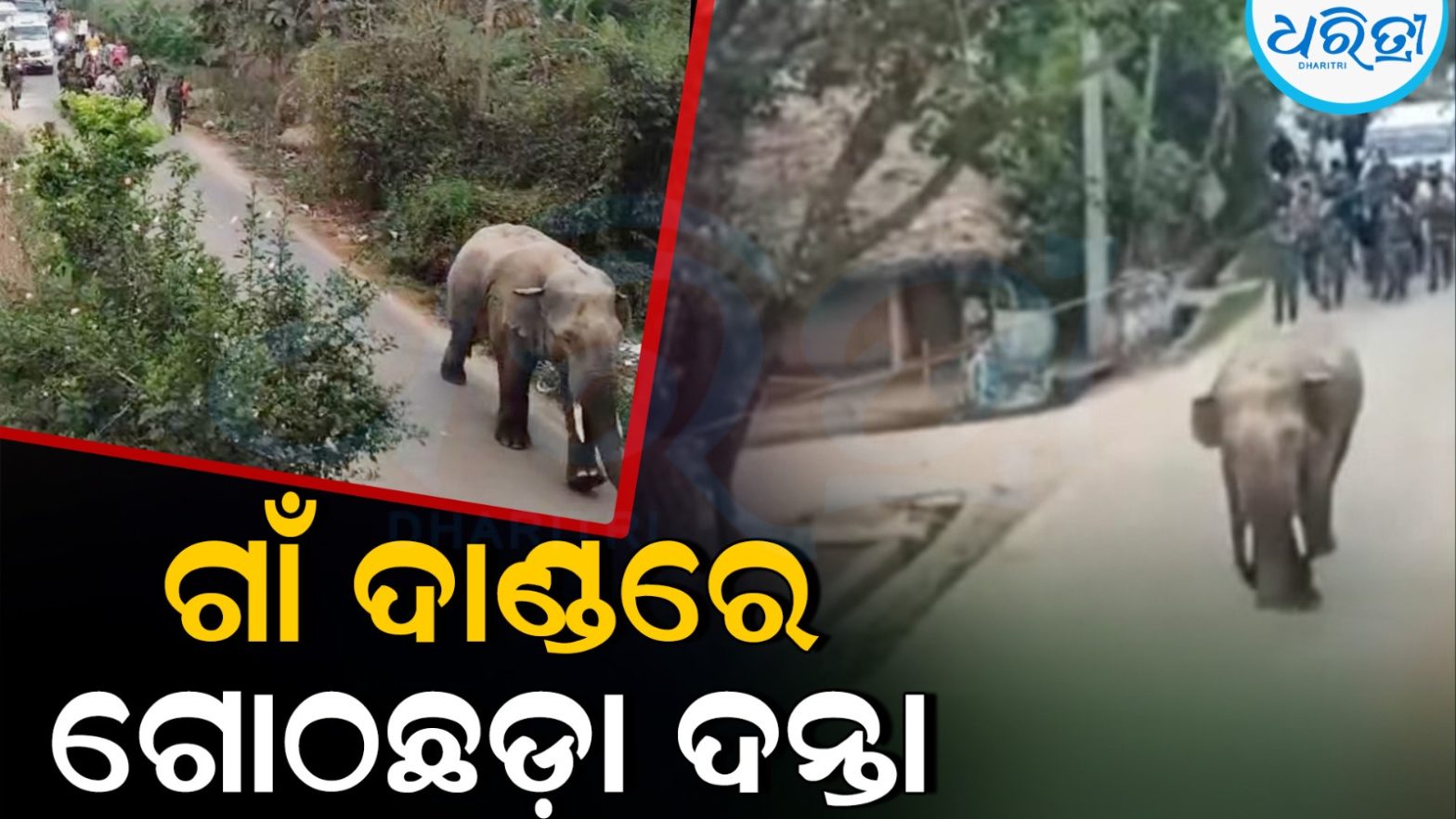 ଯୁବକଙ୍କୁ ଗଳାକାଟି ମିର୍ମମ ହତ୍ୟା