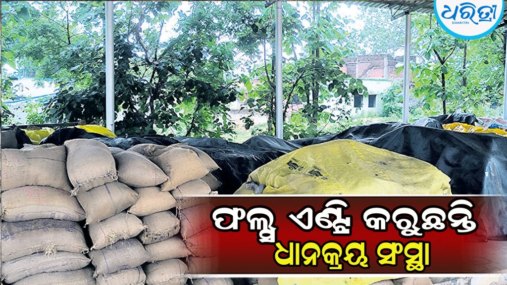 ମଣ୍ଡିରେ ନାଁକୁ ସିସି କ୍ୟାମେରା