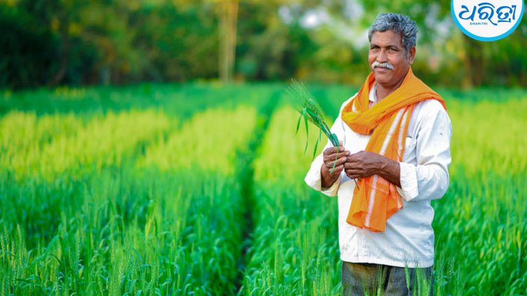 ‘ପର୍‌ ଡ୍ରପ୍‌ ମୋର୍‌ କ୍ରପ୍‌’ ଖର୍ଚ୍ଚ ବଢ଼ାଅ