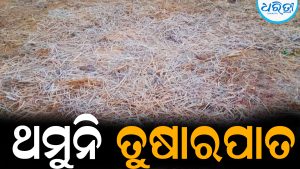 ଥମୁନି ତୁଷାରପାତ: ଶୀତ ପ୍ରବଳ ଯୋଗୁ ଜନଜୀବନ ଅସ୍ତବ୍ୟସ୍ତ