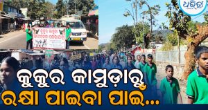 ଚିନ୍ତା ବଢ଼ାଉଛି କୁକୁରଙ୍କ ଦୌରାତ୍ମ୍ୟ, ଏଥିରୁ ରକ୍ଷା ପାଇବା ପାଇଁ…