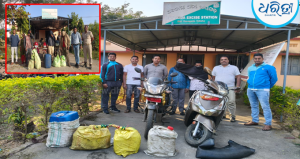 ଅବକାରୀ ବିଭାଗର ୨ ଦିନିଆ ଧରପଗଡ଼: ୨୨୭ ଲିଟର ଦେଶୀ ମଦ, ୨୯୦୦ ଲିଟର ମହୁଲ ପୋଚ ସହ…