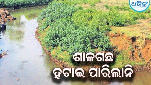 ବ୍ରିଜ୍‌ କାମ ଶେଷ ନ କରି ବନ୍ଦ ପ୍ରସ୍ତାବ