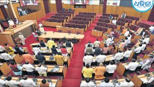 ଲାଭ ନେଇଗଲା କଂଗ୍ରେସ