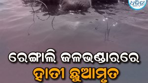 ରେଙ୍ଗାଲି ଜଳଭଣ୍ଡାରରେ ହାତୀ ଛୁଆର ମୃତ୍ୟୁ