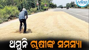 ୨ ଦିନ ପରେ ଧାନକିଣା, ଚାଷୀଙ୍କୁ ମିଳିନି ଟୋକନ: ଖୋଲା ଆକାଶତଳେ ପଡ଼ିଛି ଧାନ