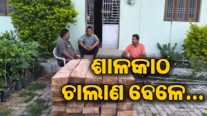 ପୁଷ୍ପା ଷ୍ଟାଇଲରେ ଚାଲାଣ କରୁଥିଲେ ଶାଳକାଠ, ମାଡିବସିଲା ବନ ବିଭାଗ, ତା’ପରେ…