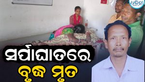 ବାରଣ୍ଡାରେ ଶୋଇଥିବା ବେଳେ କାମୁଡିଦେଲା ସାପ, ଚାଲିଗଲା ବୃଦ୍ଧଙ୍କ ଜୀବନ