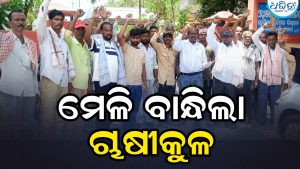 ମେଗା ଜଳସେଚନ ଯୋଜନାରୁ ବାଦ୍‌ପଡ଼ିଛି କାଣ୍ଡସର, ଜଳସେଚନ କାର୍ଯ୍ୟାଳୟ ସମ୍ମୁଖରେ ଚାଷୀଙ୍କ ବିକ୍ଷୋଭ