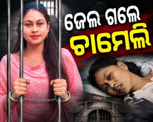 ଜେଲ ଗଲେ ସରପଞ୍ଚ ଚାମେଲି ଓଝା