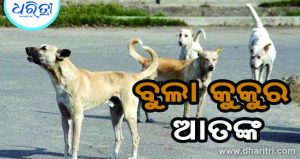 ବୁଲା କୁକୁର ଆତଙ୍କ, ଗୋଟିଏ ଦିନରେ ୭ଜଣଙ୍କୁ କାମୁଡ଼ିଲା