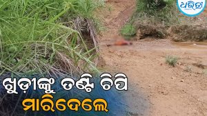 ଉଗ୍ରରୂପ ଧାରଣ କଲା ପାରିବାରିକ ବିବାଦ: ଖୁଡ଼ୀକୁ ମାରିଦେଲେ ପୁତୁରା, ପୁତୁରାବୋହୂ