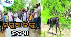 ଧାନ ମଣ୍ଡି ନିକଟରୁ ମିଳିଲା ରକ୍ତାକ୍ତ ମୃତଦେହ, ପରିବାର ଲୋକେ ଆଣିଲେ ହତ୍ୟା ଅଭିଯୋଗ