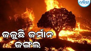 ଜର୍ମାନୀ ଜଙ୍ଗଲରେ ଲାଗିଲା ନିଆଁ, ତାପମାତ୍ରା ସର୍ବକାଳୀନ ରେକର୍ଡ
