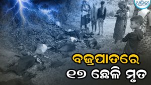 ହଠାତ୍ ହେଲା ବଜ୍ରପାତ: ଟଳିପଡ଼ିଲେ ଗୋଟିଏ ପରେ ଗୋଟିଏ ଛେଳି