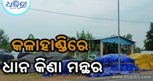ଧାନକିଣାରେ ମନ୍ଥର, ଜୁନ ଶେଷ, ଉଠିନି ମେ’ ମାସର ଧାନ