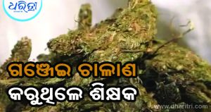 କାର୍‌ରେ ହେଉଥିଲା ଗଞ୍ଜେଇ ଚାଲାଣ: ଧରାପଡ଼ିଲେ ୨ ସରକାରୀ ଶିକ୍ଷକ