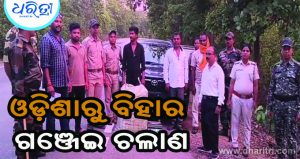 କନ୍ଧମାଳରୁ ହେଉଥିଲା ଗଞ୍ଜେଇ ଚାଲାଣ: ବାଟରେ ମାଡ଼ି ବସିଲା ପୋଲିସ,ଆଉ ତା’ପରେ…