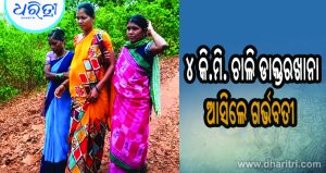 ଦୟନୀୟ ଯୋଗାଯୋଗ ବ୍ୟବସ୍ଥା, ଗାଁକୁ ଆସି ପାରିଲାନି ଆମ୍ବୁଲାନ୍ସ