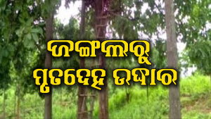 ଜଙ୍ଗଲରୁ ମିଳିଲା ଯୁବତୀଯୁବକଙ୍କ ଝୁଲନ୍ତା ମୃତଦେହ ଉଦ୍ଧାର,ଆତ୍ମହତ୍ୟା ନା ହତ୍ୟା ବଢିଲା ସସ୍‌ପେନ୍ସ