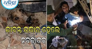 ଭେନେଜୁଏଲା ଭୂକମ୍ପର ଭଗ୍ନାବଶେଷ ଭିତରୁ ଖୋଜା ଚାଲିଛି ଜୀବନ, ଛାତି ଥରାଇ ଦେଉଛି ଶିଶୁଙ୍କ ସହ ନିର୍ବାକ ଜୀବଙ୍କ ଫଟୋ
