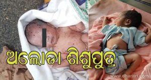 ଅଲୋଡା ହେଲା ନବଜାତ ଶିଶୁପୁତ୍ରର: ବୁଦା ମୁଳରୁ ଉଦ୍ଧାର