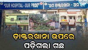 କେସିଙ୍ଗା ମେଡିକାଲ ଉପରେ ପଡ଼ିଲା ଗଛ, ଭାଙ୍ଗିଗଲା….