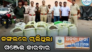 ଜଙ୍ଗଲରେ ଚାଷ କରି ଚାଲାଣ କରୁଥିଲେ ଗଞ୍ଜେଇ, ଚଢ଼ାଉ କରି ୩ଶହ…