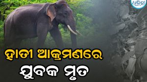 ଦିନ ଦ୍ବିପ୍ରହରରେ ଯୁବକଙ୍କୁ ଦଳି ମାରିଦେଲା ହାତୀ, ବନ ବିଭାଗ ପହଞ୍ଚି….