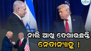 ଡୋନାଲ୍ଡ ଟ୍ରମ୍ପଙ୍କୁ ନାଲି ଆଖି ଦେଖାଉଛନ୍ତି ନେତାନ୍ୟାହୁ ! ଶାନ୍ତି ଚୁକ୍ତିକୁ ପ୍ରତ୍ୟାଖ୍ୟାନ କରି କହିଲେ -‘ଯେପର୍ଯ୍ୟନ୍ତ ମୁଁ ପ୍ରଧାନମନ୍ତ୍ରୀ…’