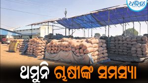 ସରିବାକୁ ଯାଉଛି ଧାନ କିଣାବିକା ଅବଧି: ମଣ୍ଡିରେ ପଡିଛି ୪ଲକ୍ଷ ୩୮ହଜାର ବସ୍ତାଧାନ