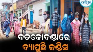 ବଡକୋଦଣ୍ଡାରେ ବ୍ୟାପୁଛି ଜଣ୍ଡିସ: ସ୍ଥିତି ଅନୁଧ୍ୟାନ କଲେ ବିଡିଓ-ତହସିଲଦାର