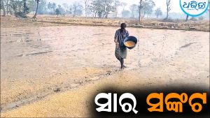 ଚାଷ ଆରମ୍ଭରୁ ଚାଷୀଙ୍କୁ ସାର ସଙ୍କଟ: ମହଜୁଦ ସତ୍ତ୍ୱେ ଚାଷୀଙ୍କୁ ମିଳୁନି