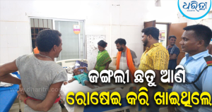 ବିଷାକ୍ତ ଛତୁ ଖାଇ ୩ ଶିଶୁ ଗୁରୁତର: କଲ୍ୟାଣସିଂହପୁର ମେଡିକାଲରେ ଭର୍ତ୍ତି, ଚିକିତ୍ସା ପରେ ଅବସ୍ଥା ସ୍ଥିର