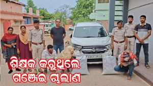 ଗଞ୍ଜେଇ ଚାଲାଣ ବେଳେ ମାଡି ବସିଲା ଅବକାରୀ ବିଭାଗ:  ଦୁଇ ଶିକ୍ଷକ ସମେତ ଜଣେ ଗିରଫ