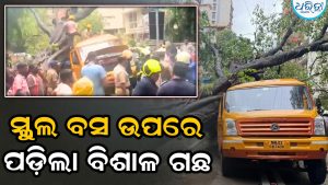 ବଡ଼ ଅଘଟଣ:  ସ୍କୁଲ ବସ୍‌ ଉପରେ ଭାଙ୍ଗି ପଡ଼ିଲା ବିଶାଳ ଗଛ, ଜଣେ ଛାତ୍ର ମୃତ, ୪ ଗୁରୁତର…