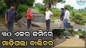 ଲଗାଣ ବର୍ଷାରେ ଭାଙ୍ଗିଲା ଦୁଇ ପୋଲ: ୩୦ ଏକର ଚାଷଜମିରେ ମାଡ଼ିଗଲା ବାଲିଚର, ଉପବାଚସ୍ପତି ଘଟଣାସ୍ଥଳ ପରିଦର୍ଶନ କରି…