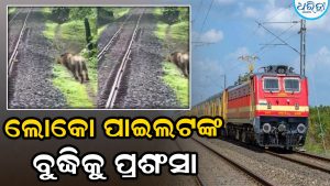 ଟ୍ରେନ୍‌ ଟ୍ରାକ୍‌କୁ ହଠାତ୍‌ ଚାଲିଆସିଲା ଏକ ସିଂହ, ଲୋକୋ ପାଇଲଟ୍‌ କଲେ ଏମିତି କାମ, ଜାଣିଲେ ହେବେ ଆଶ୍ଚର୍ଯ୍ୟ…