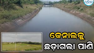 ଖରିଫ ଚାଷ ପାଇଁ ଚାଷୀ ତତ୍ପର, ଧାନରୁଆ ଆରମ୍ଭ
