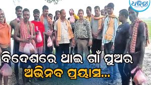 ବିଦେଶରେ ଥାଇ ଗାଁର ମହକ ଭୁଲିନାହାନ୍ତି ଚିଦାନନ୍ଦ, ୨୨ ବର୍ଷ ବୟସରେ କୃଷକଙ୍କ ପାଇଁ କରୁଛନ୍ତି ଏମିତି ଚିନ୍ତା…