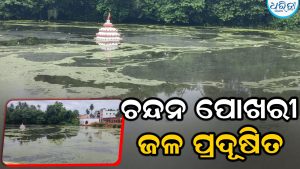ସାକ୍ଷୀଗୋପାଳଙ୍କ ଚନ୍ଦନ ପୋଖରୀ ଜଳ ପ୍ରଦୂଷିତ: ଅତିଷ୍ଠ ହେଉଛି ପଚାମାଛ ଦୁର୍ଗନ୍ଧ