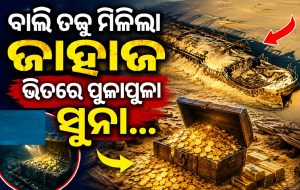 ସମୁଦ୍ର ନୁହେଁ, ମରୁଭୂମିରୁ ମିଳିଲା ୫୦୦ ବର୍ଷ ପୁରୁଣା ଜାହାଜ; ଭିତରୁ ବାହାରିଲା କୋଟି କୋଟି ଟଙ୍କାର ଖଜଣା