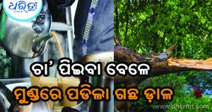 ଦୋକାନରେ ପିଉଥିଲେ ଚା’, ମୁଣ୍ଡରେ ପଡିଲା ଗଛ ଡ଼ାଳ, ତା’ପରେ…