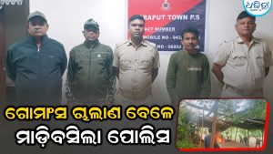 ଗୋ ହତ୍ୟା ସହ ମାଂସ ଚାଲାଣ: ୨ ଗିରଫ, ୧୫ ଅଟକ
