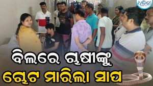 ଚାଷଜମିକୁ ଯାଇଥିଲେ ଚାଷୀ, ଚୋଟ ମାରିଲା ସାପ, ଘରକୁ ଫେରିବା ପରେ…