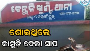 ସାପ କାମୁଡ଼ାରେ ଶାଶୁ ମୃତ, ବୋହୂ ଗୁରୁତର 