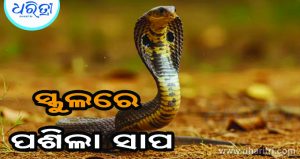 ସ୍କୁଲରେ ପଶିଲା ସାପ, ଆଉ ତା’ପରେ…