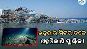 ସମୁଦ୍ରରେ ୨,୦୦୦ ମିଟର ଗଭୀରତାରେ ପହଞ୍ଚିଛି ପ୍ଲାଷ୍ଟିକ ପ୍ରଦୂଷଣ; ଏହା ସାମୁଦ୍ରିକ ଜୀବନକୁ କିପରି ପ୍ରଭାବିତ କରୁଛି ଜାଣନ୍ତୁ